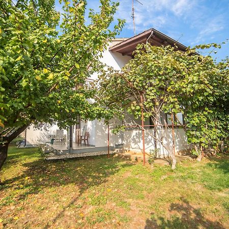 Villa Aleksandar ポレッチ エクステリア 写真