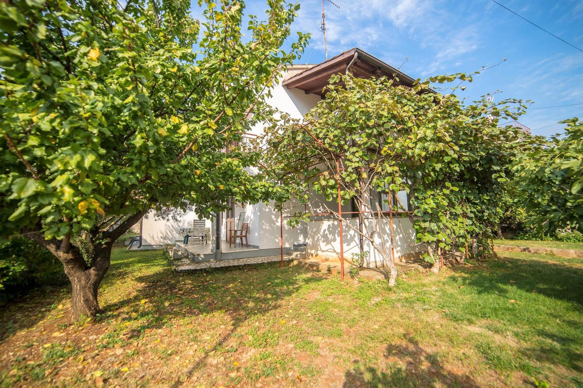 Villa Aleksandar ポレッチ エクステリア 写真
